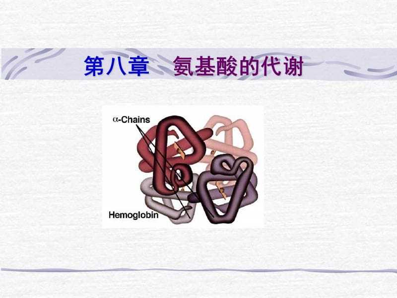 《含氮化合物代謝》PPT課件.ppt_第1頁