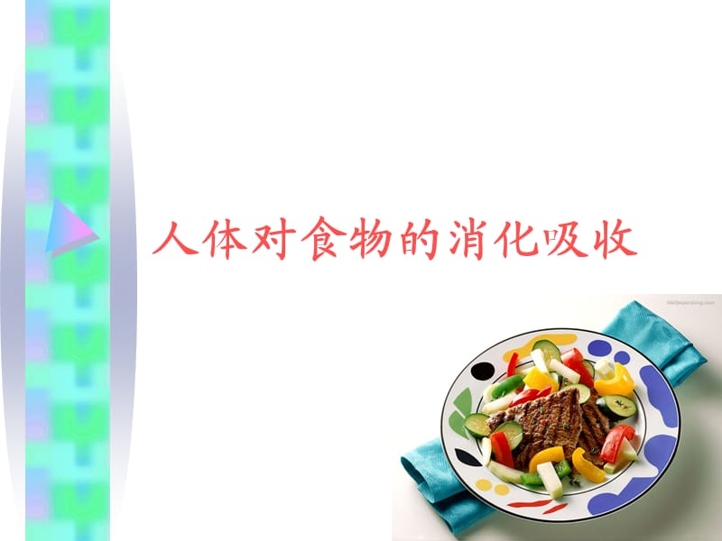 人體對(duì)食物的消化吸收.ppt_第1頁(yè)