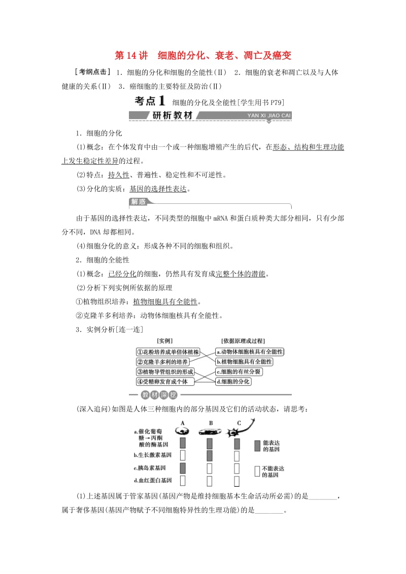 2019高考生物一轮复习 第14讲 细胞的分化、衰老、凋亡及癌变教案 新人教版必修1.doc_第1页