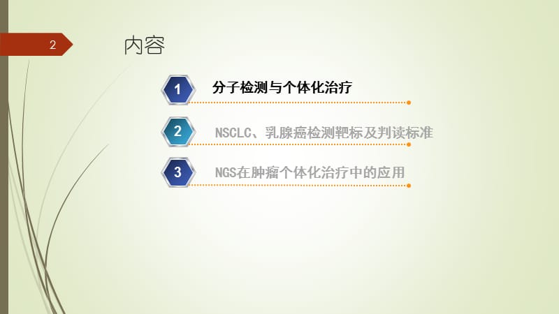 分子检测在肿瘤精准治疗中的应用ppt课件_第2页