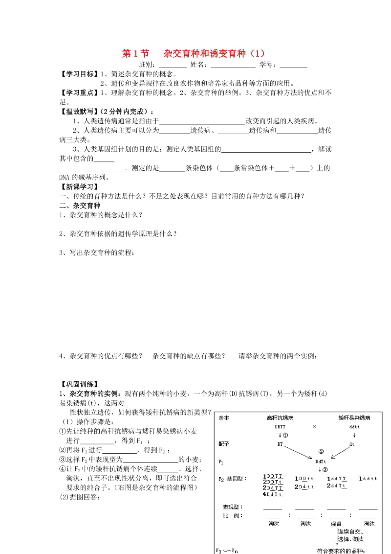 广东省佛山市高中生物 第6章 从杂交育种到基因工程 第1节 杂交育种和诱变育种（1）学案 新人教版必修2.doc_第1页