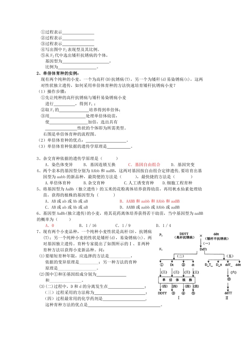 广东省佛山市高中生物 第6章 从杂交育种到基因工程 第1节 杂交育种和诱变育种（1）学案 新人教版必修2.doc_第2页