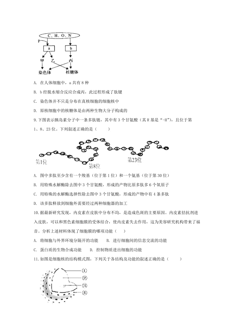 2019-2020学年高一生物上学期第三次月考试题 (III).doc_第3页