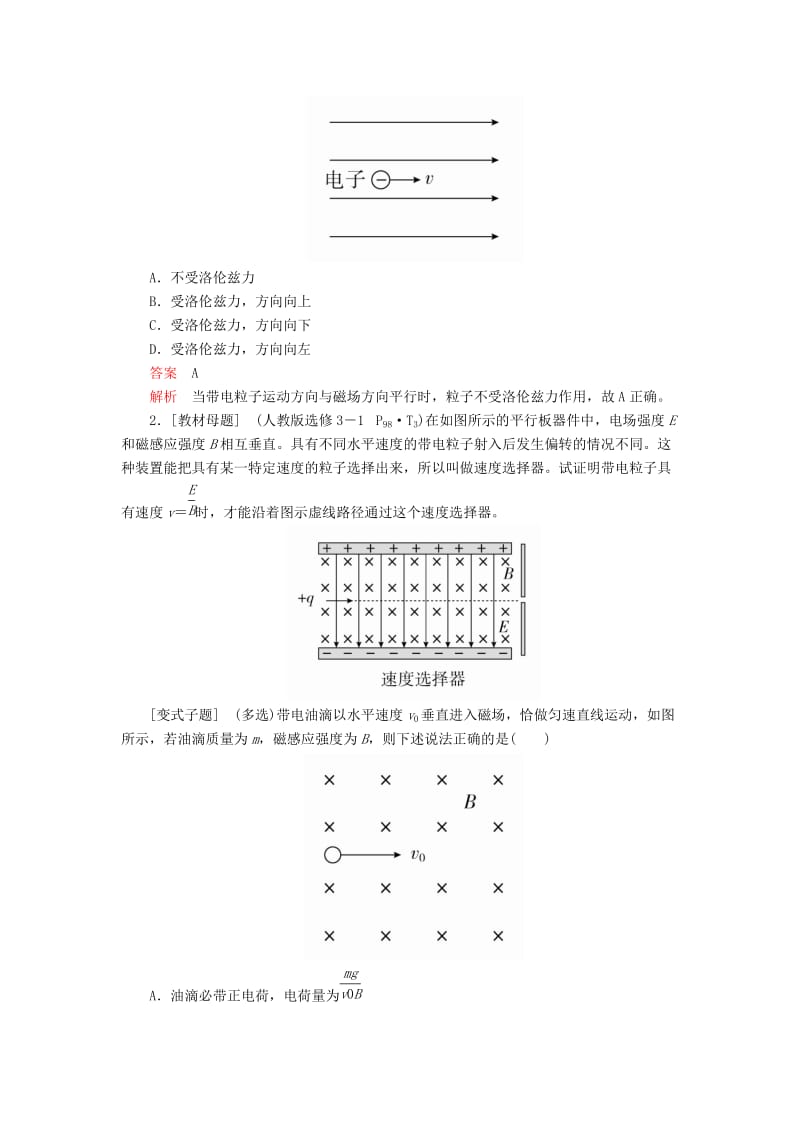 2020年高考物理一轮复习 第10章 磁场 第48讲 磁场对运动电荷的作用学案（含解析）.doc_第2页