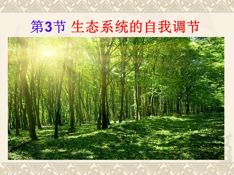 《生态系统的自我调节》-靳四红.ppt_第1页