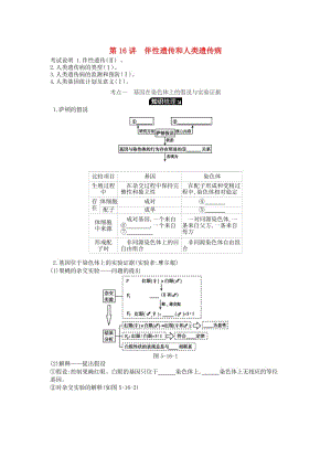 2019版高考生物一輪復(fù)習(xí) 第5單元 遺傳的基本規(guī)律和遺傳的細(xì)胞基礎(chǔ) 第16講 伴性遺傳和人類(lèi)遺傳病學(xué)案 蘇教版.doc