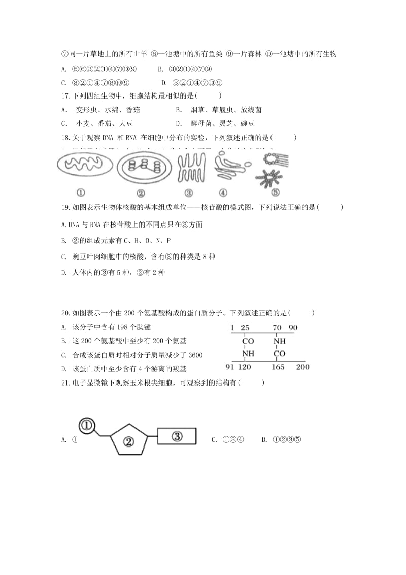 2018-2019学年高一生物上学期小期末考试期末模拟试题.doc_第3页