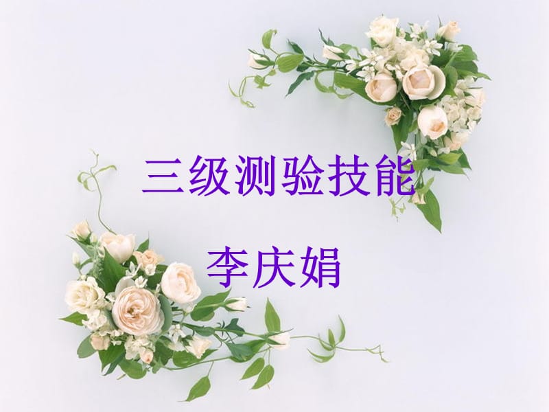 《级测验技能串讲》PPT课件.ppt_第1页