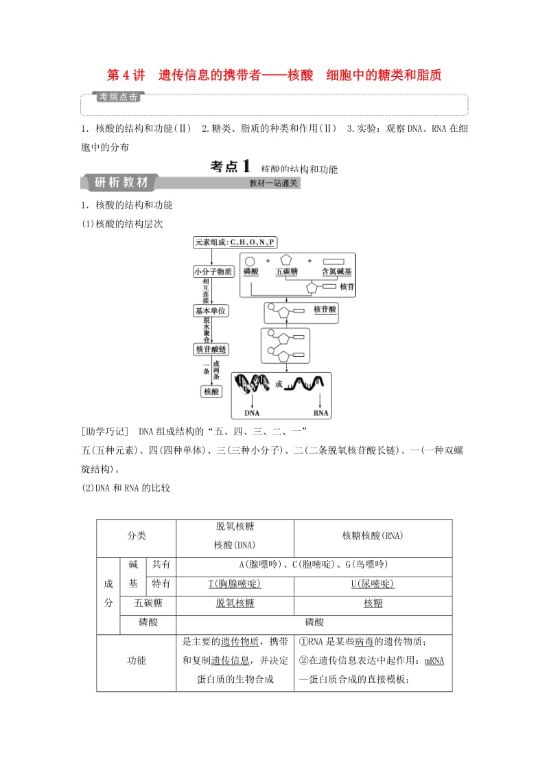 2019届高考生物一轮复习 第一单元 细胞的分子组成 第4讲 遗传信息的携带者——核酸 细胞中的糖类和脂质学案.doc_第1页