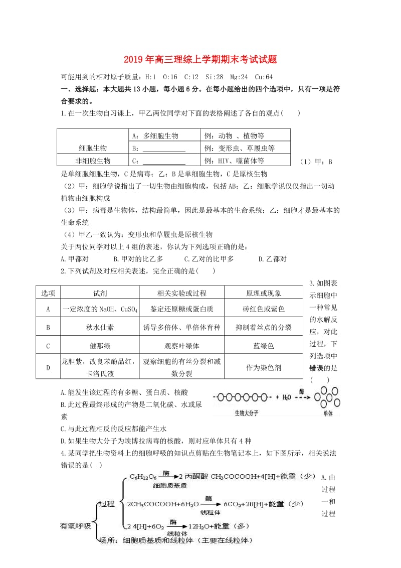 2019年高三理综上学期期末考试试题.doc_第1页