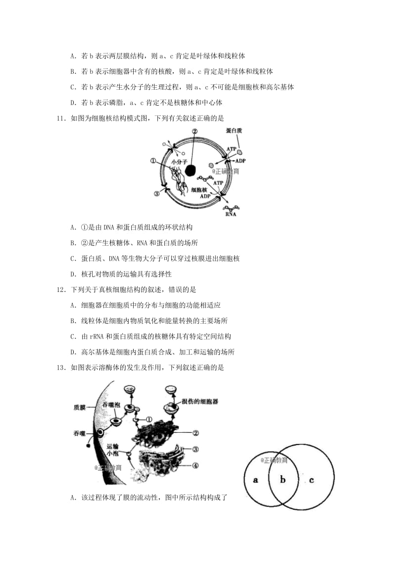 2018-2019学年高二生物上学期第二次月考试题(无答案) (I).doc_第3页