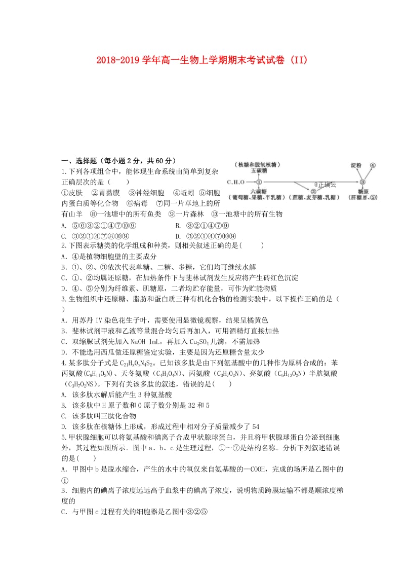 2018-2019学年高一生物上学期期末考试试卷 (II).doc_第1页