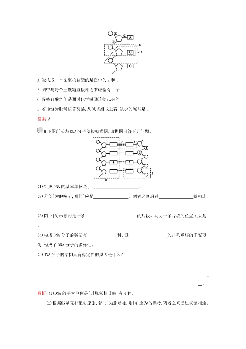 2019高中生物第3章基因的本质3.2DNA分子的结构练习新人教版必修1 .docx_第3页