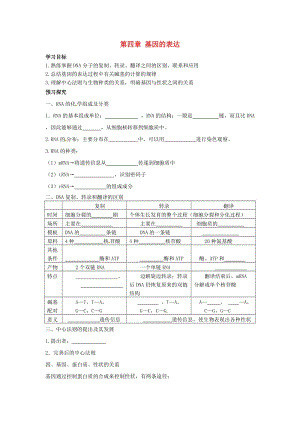 山東省平邑縣高中生物 第四章 基因的表達(dá)學(xué)案新人教版必修2.doc