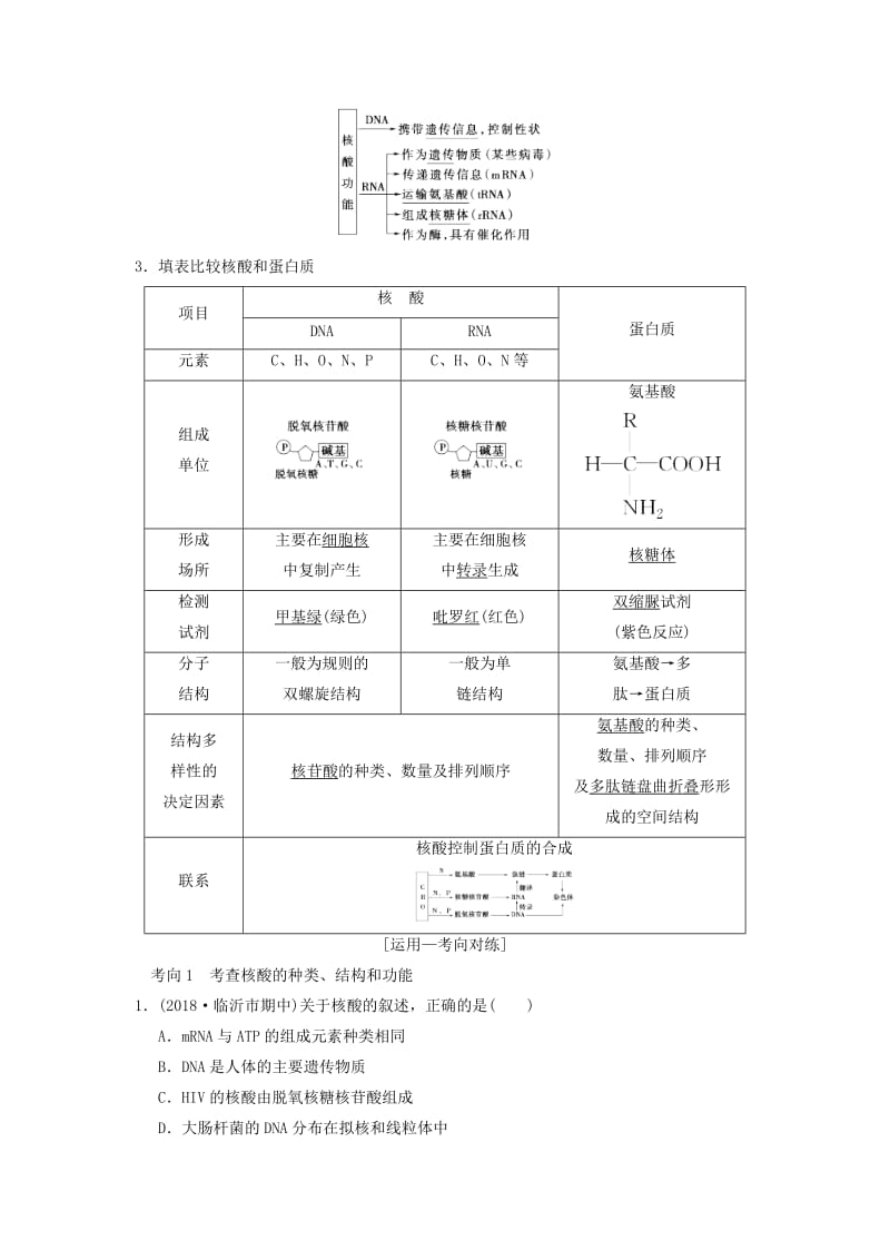 山东省2019高考生物 第1单元 细胞及其分子组成（4）核酸、糖类和脂质导学案（含解析）新人教版必修1.doc_第3页