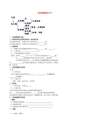 北京市高考生物一輪復習 例題講解 專題 組成細胞的分子學案.doc