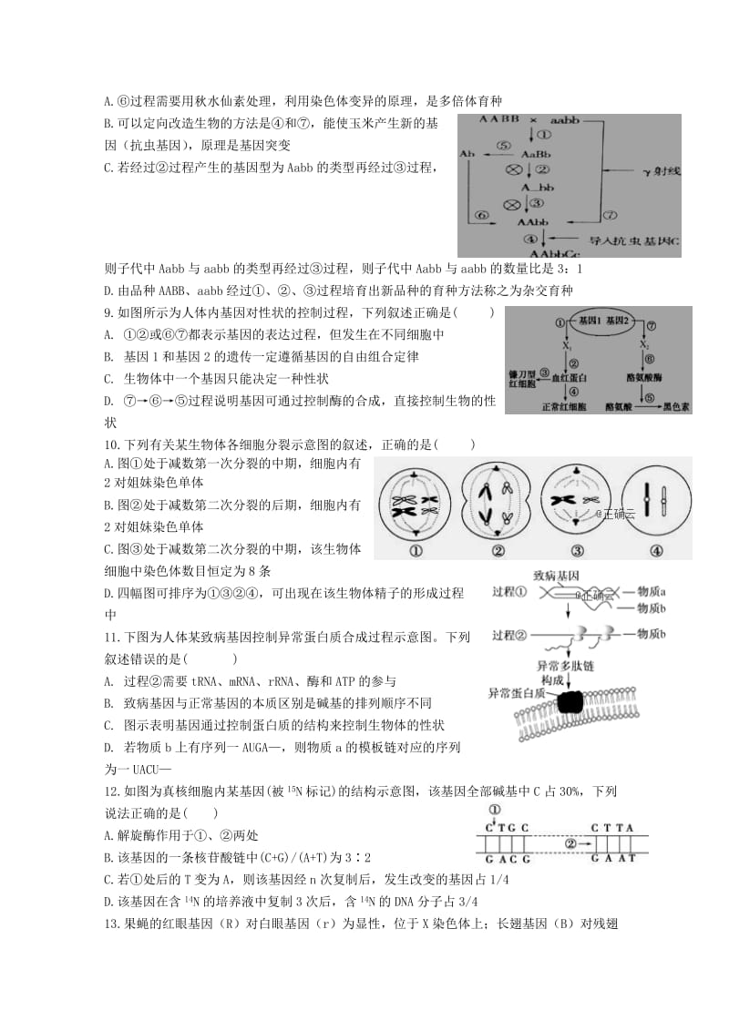 2019-2020学年高二生物上学期第十一次双周考试题.doc_第2页