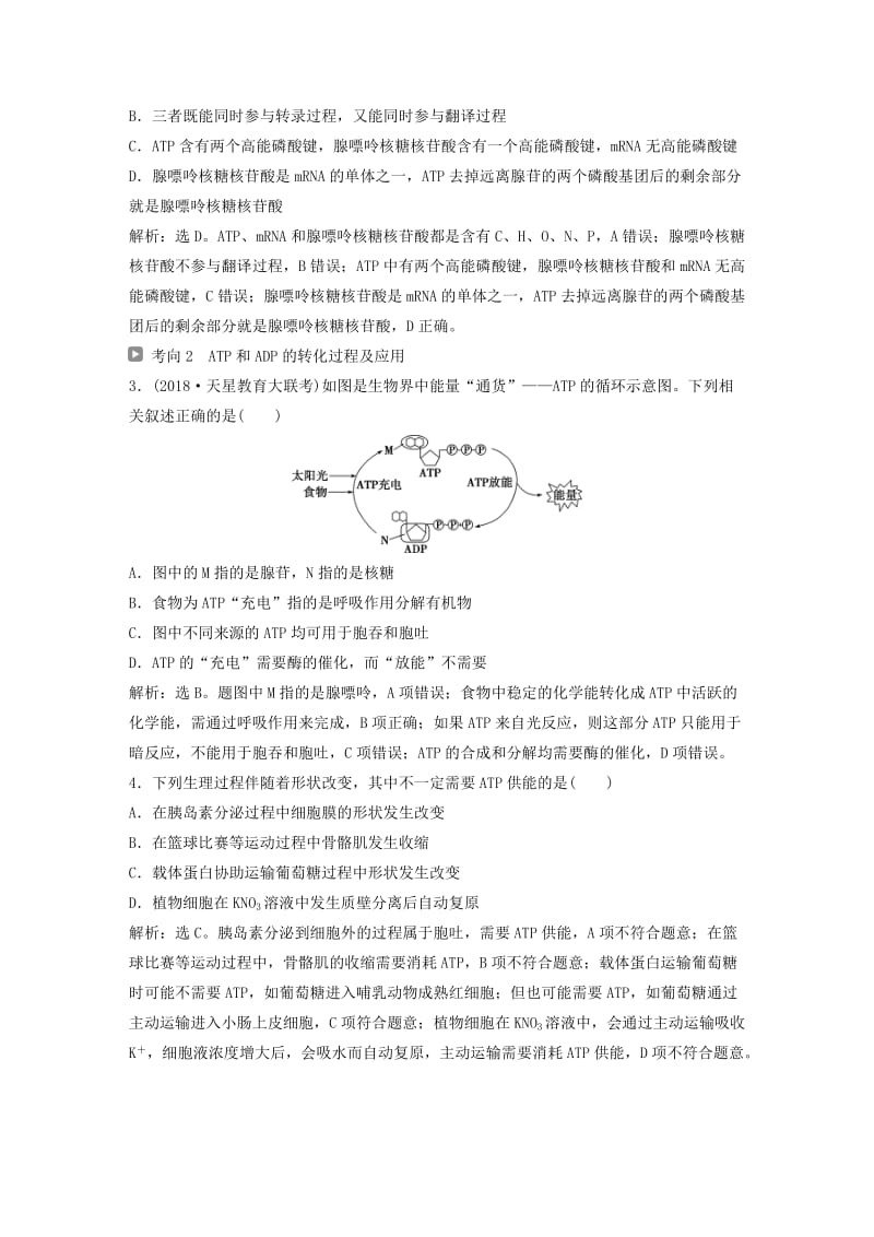 2019届高考生物一轮复习 第三单元 细胞的能量供应和利用 第9讲 ATP及其主要来源——细胞呼吸学案.doc_第3页