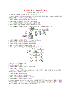 2020版高考生物大一輪復(fù)習(xí) 第5單元 遺傳的分子基礎(chǔ)單元質(zhì)檢卷 新人教版.docx