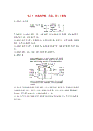 通用版2019版高考生物二輪復(fù)習(xí)專題一細(xì)胞的分子組成基本結(jié)構(gòu)和生命歷程考點(diǎn)5細(xì)胞的分化衰老凋亡與癌變學(xué)案.doc