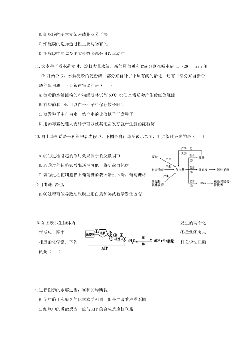 2019届高三生物12月学情诊断试题.doc_第3页