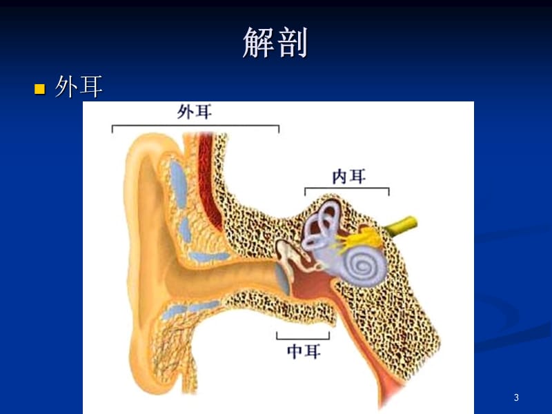 耳颞部解剖及常见疾病诊断CTppt课件_第3页