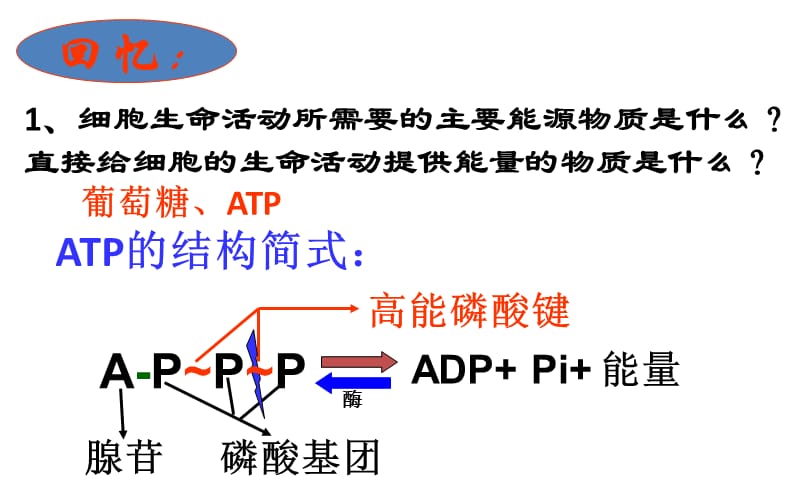 《ATP的主要來源》PPT課件.ppt_第1頁