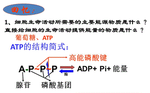 《ATP的主要來(lái)源》PPT課件.ppt