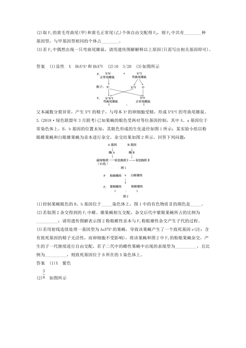 （浙江选考）2019版高考生物二轮专题复习 必考非选择题综合应用练 第31题 考查以遗传变异为主的命题.doc_第2页