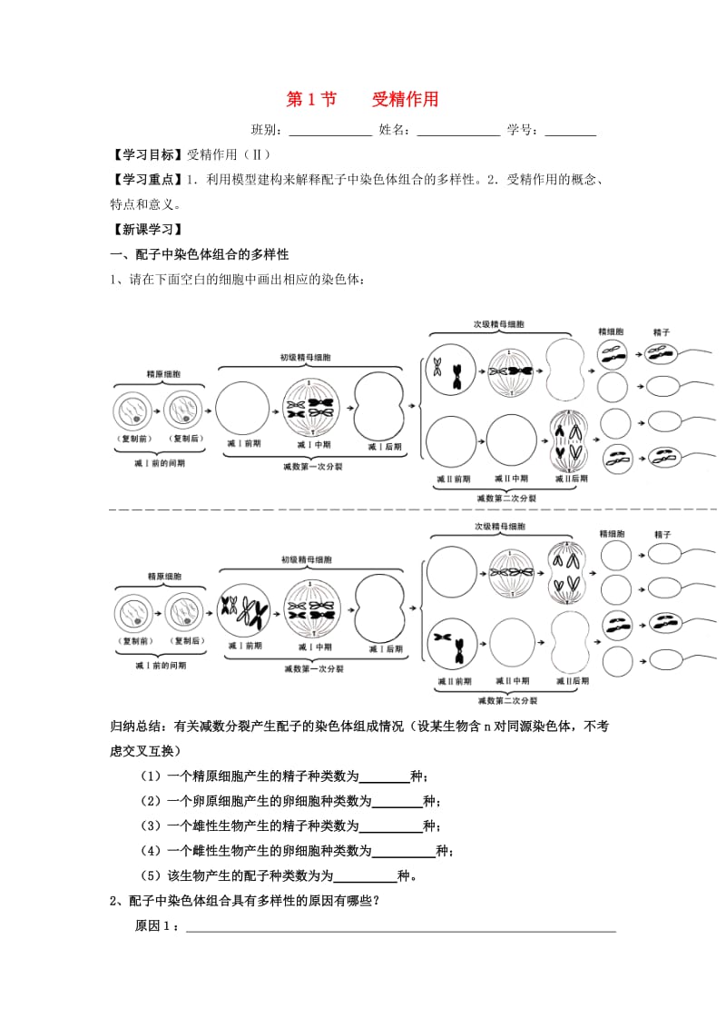 广东省佛山市高中生物 第2章 基因和染色体的关系 第1节 受精作用导学案 新人教版必修2.doc_第1页