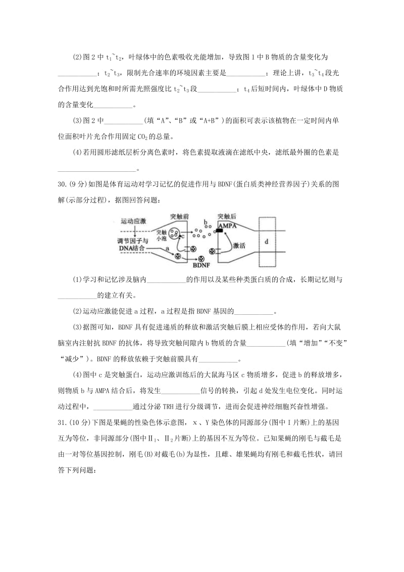 辽宁省沈阳市郊联体2019届高三生物上学期期末考试试题.doc_第3页