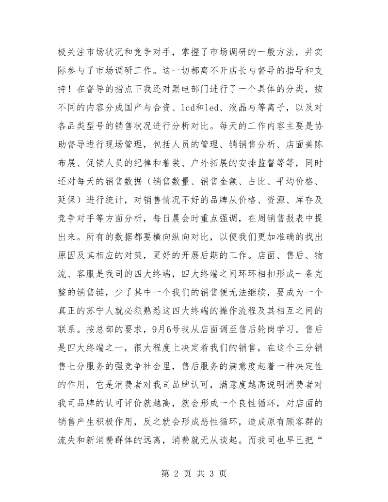 电器销售试用期工作总结.doc_第2页