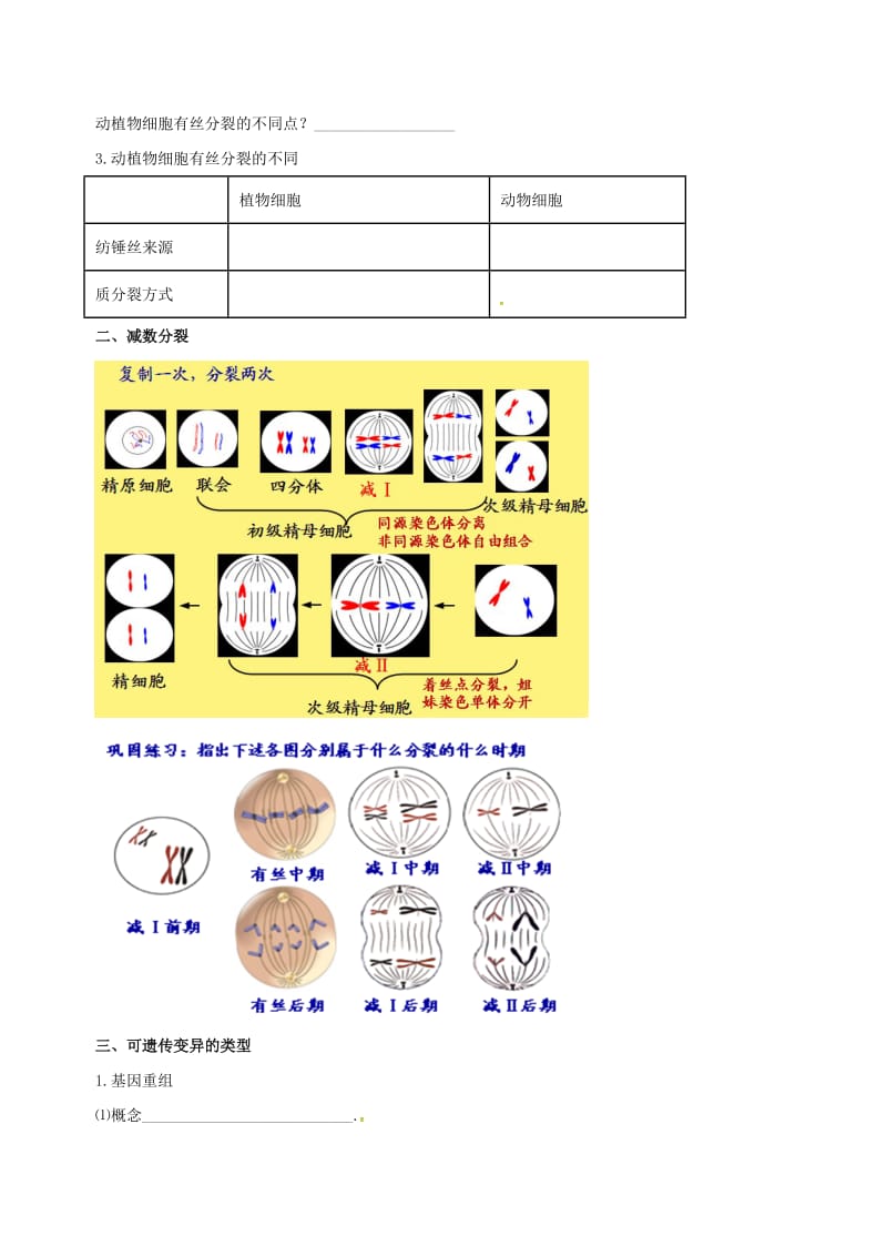 北京市高考生物一轮复习 例题讲解 专题突破 第三讲 细胞分裂和变异学案.doc_第2页