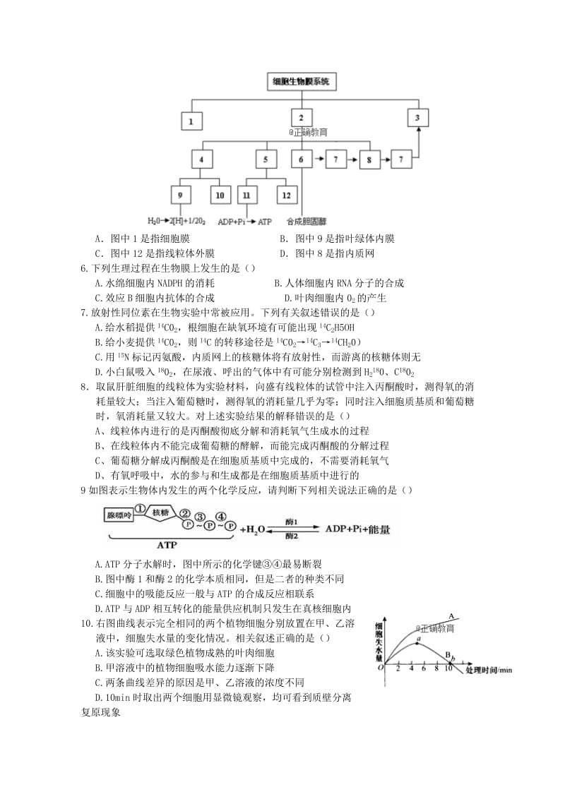 河南省正阳高中2019届高三生物上学期期中素质检测试题.doc_第2页