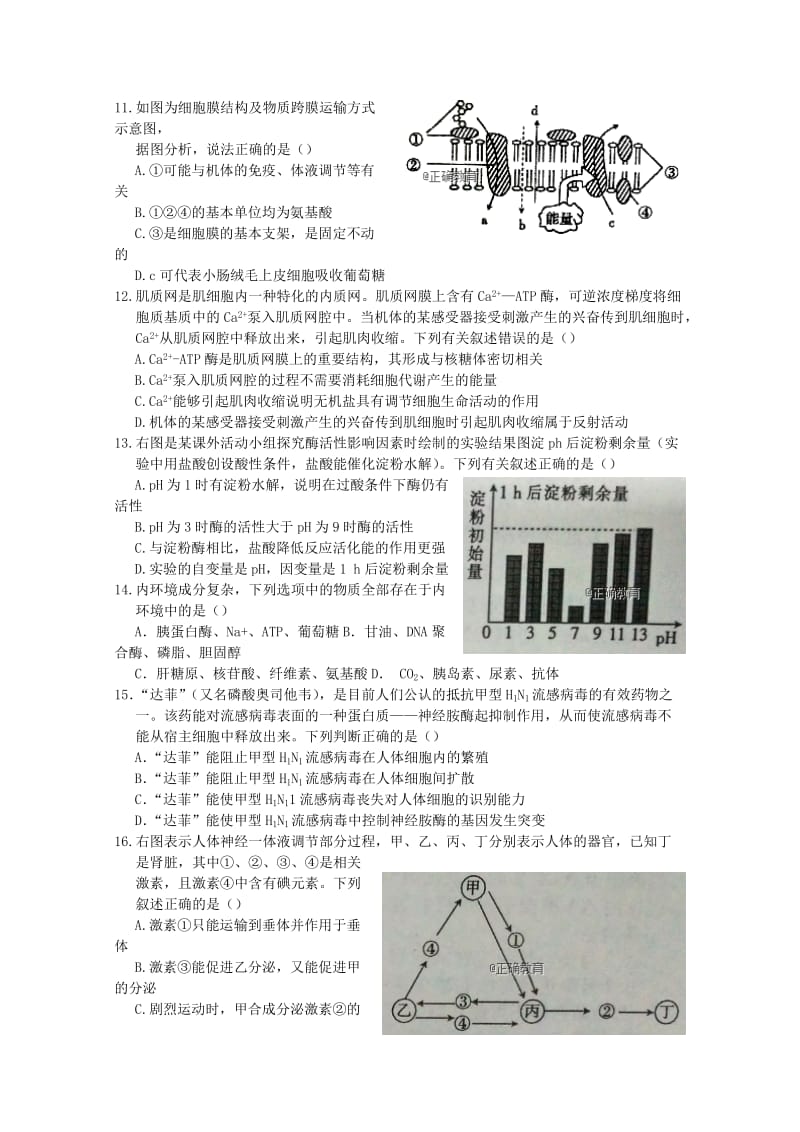 河南省正阳高中2019届高三生物上学期期中素质检测试题.doc_第3页