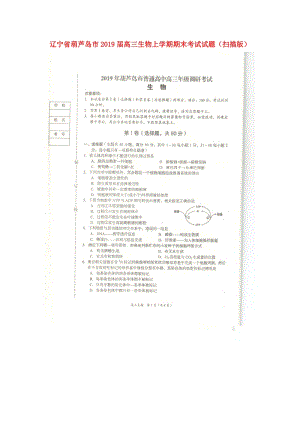 遼寧省葫蘆島市2019屆高三生物上學期期末考試試題（掃描版）.doc