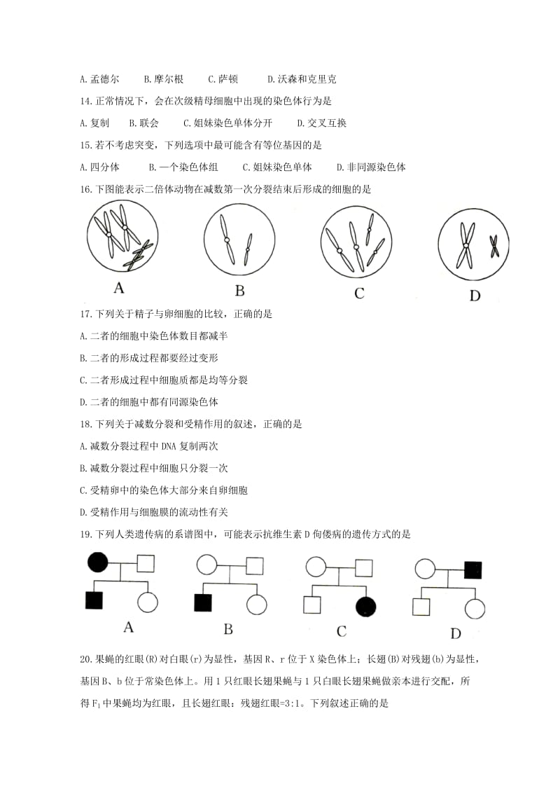 河北省邢台市2017-2018学年高一生物下学期期末考试试题.doc_第3页