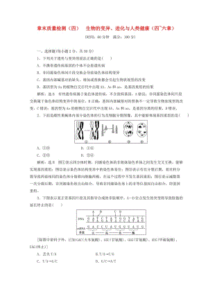 （浙江專(zhuān)版）2018年高中生物 章末質(zhì)量檢測(cè)（四）生物的變異、進(jìn)化與人類(lèi)健康（四-六章） 浙科版必修2.doc