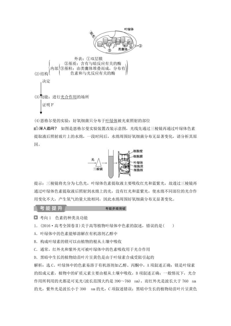 2019届高考生物一轮复习 第三单元 细胞的能量供应和利用 第10讲 光合作用的探究历程与基本过程学案.doc_第2页