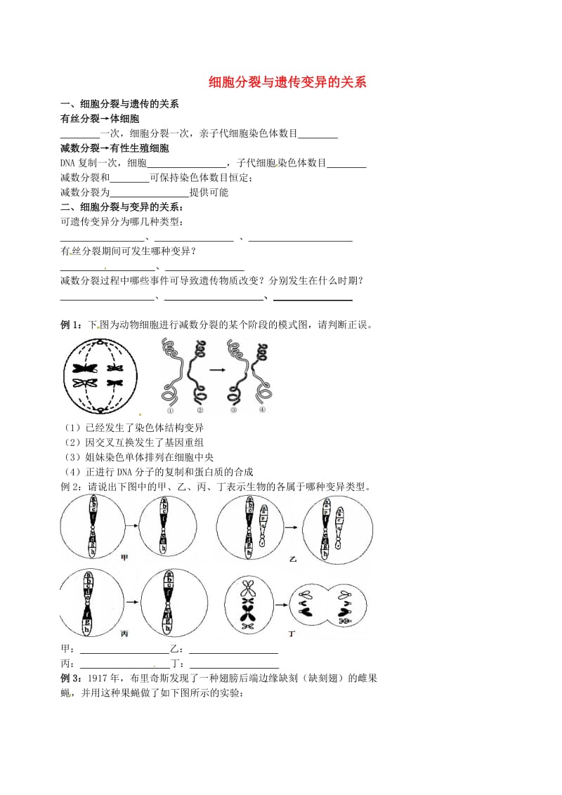 北京市高考生物一轮复习 例题讲解 专题 细胞分裂与遗传变异的关系学案.doc_第1页