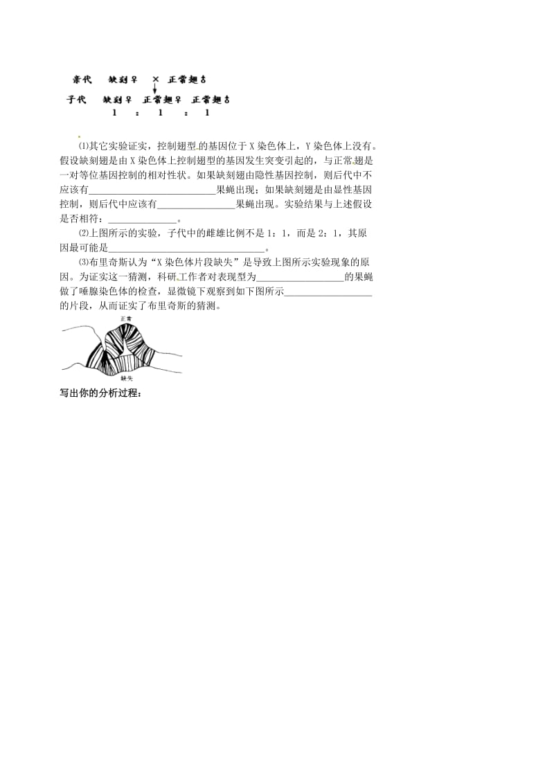 北京市高考生物一轮复习 例题讲解 专题 细胞分裂与遗传变异的关系学案.doc_第2页