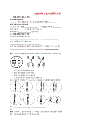 北京市高考生物一輪復(fù)習(xí) 例題講解 專題 細(xì)胞分裂與遺傳變異的關(guān)系學(xué)案.doc