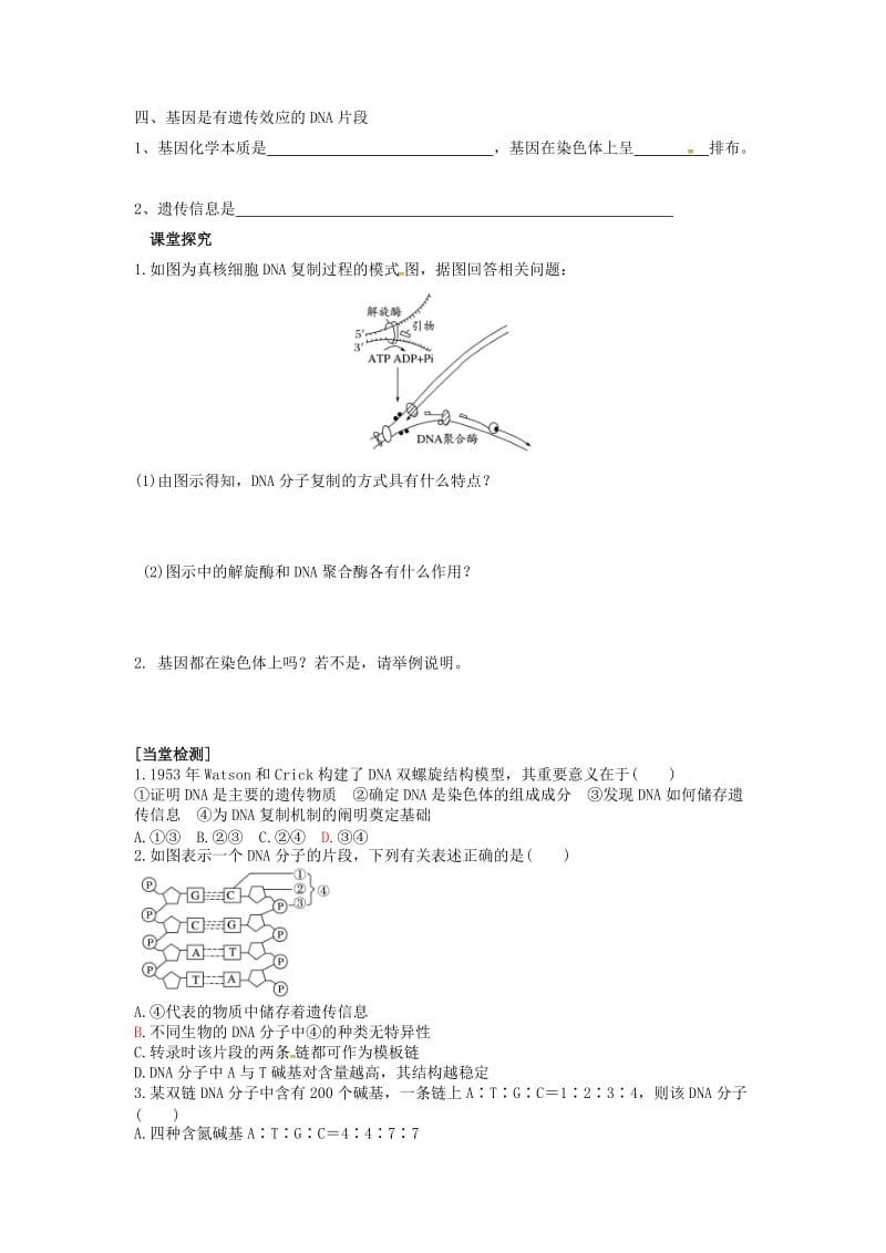 山东省平邑县高中生物 第三章 基因的本质 第2、3、4节 DNA分子的结构、复制与基因的本质学案新人教版必修2.doc_第2页