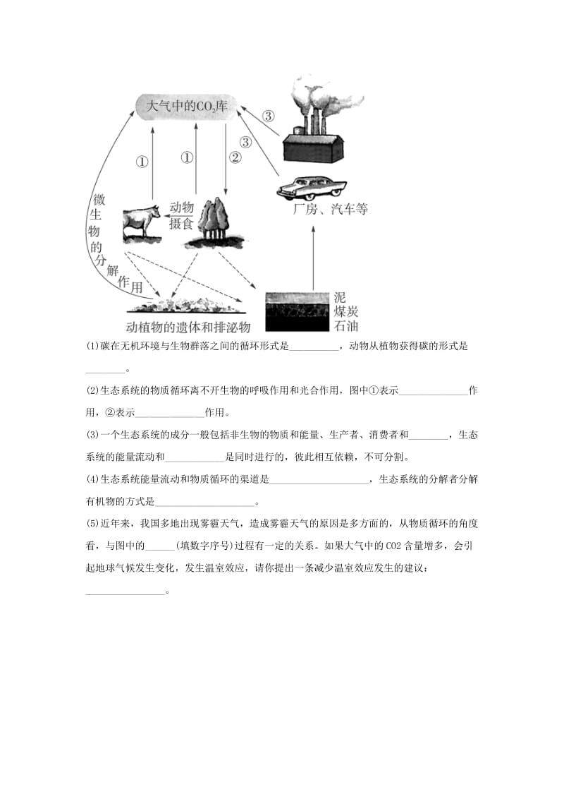 湖南省茶陵县高中生物 第五章 生态系统及其稳定性 5.3 生态系统的物质循环练习文 新人教版必修3.doc_第3页