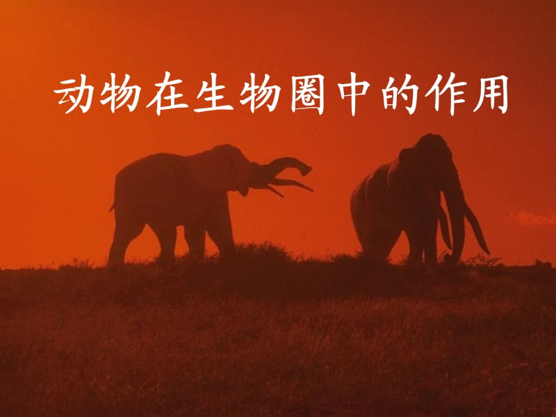 《動物在自然界中的作用》.ppt_第1頁