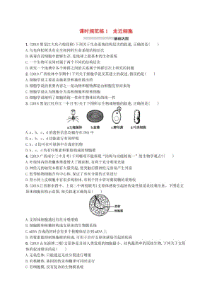 2020版高考生物大一輪復(fù)習(xí) 第1單元 走近細胞組成細胞的分子 課時規(guī)范練1 走近細胞 新人教版.docx