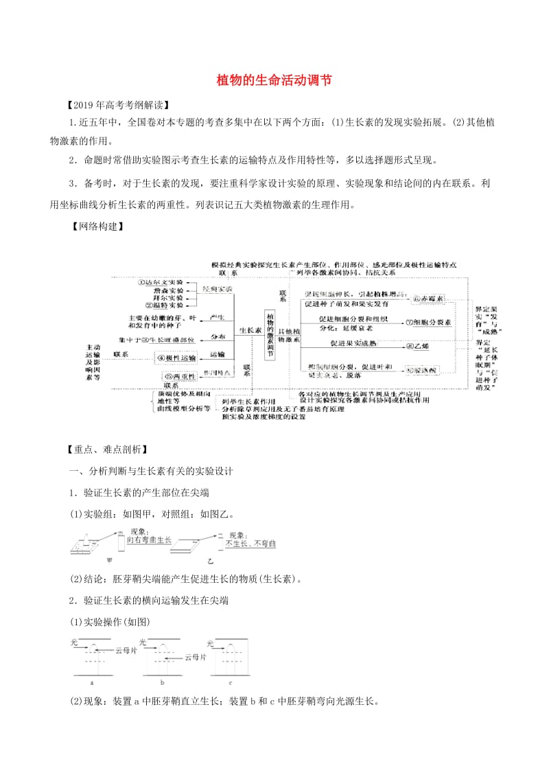 2019年高考生物 考纲解读与热点难点突破 专题11 植物的生命活动调节教学案.doc_第1页