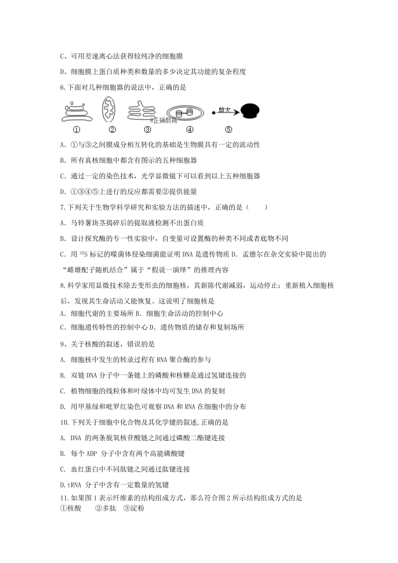 2019年高三生物上学期期中试题 (I).doc_第2页