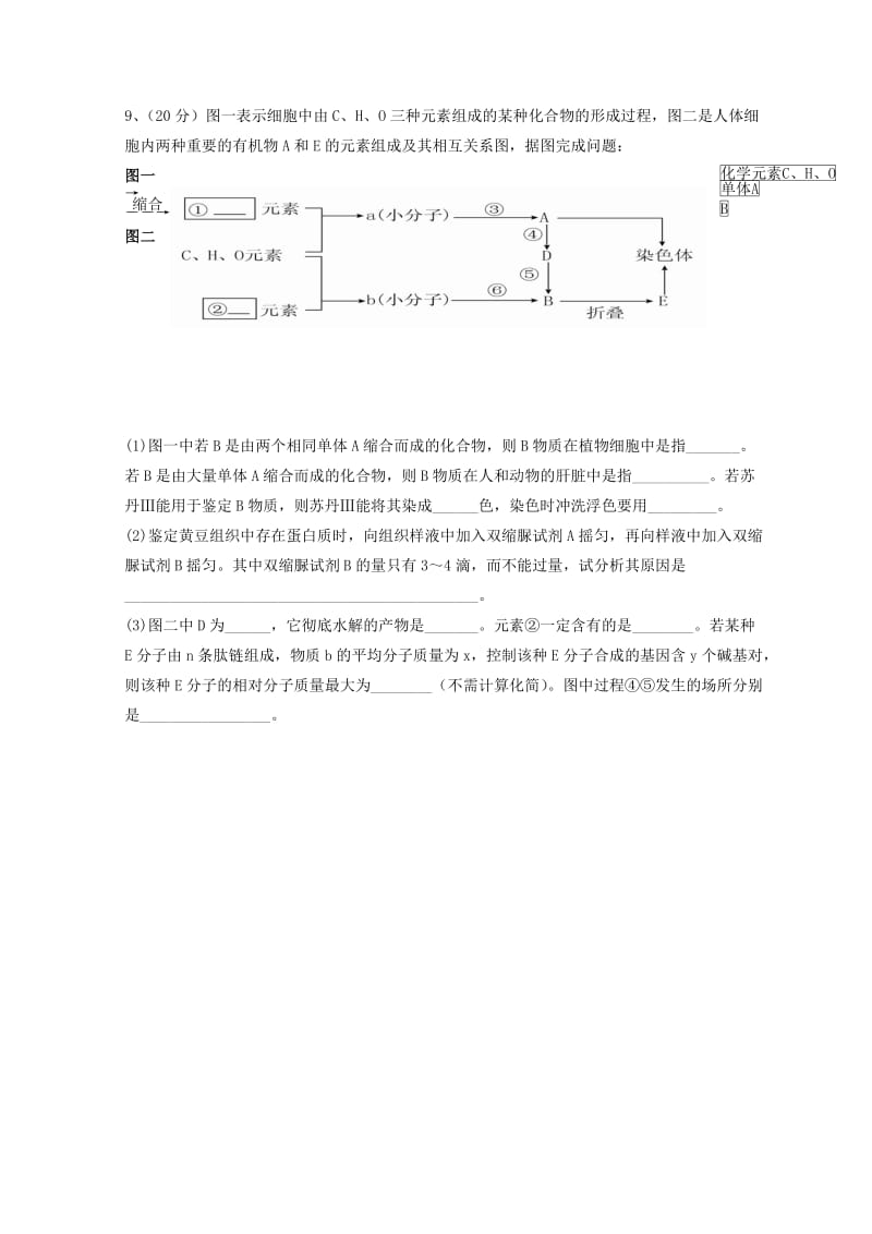 广东省惠州市2019年高考生物总复习 1-2章单元再考卷（必修1).doc_第3页