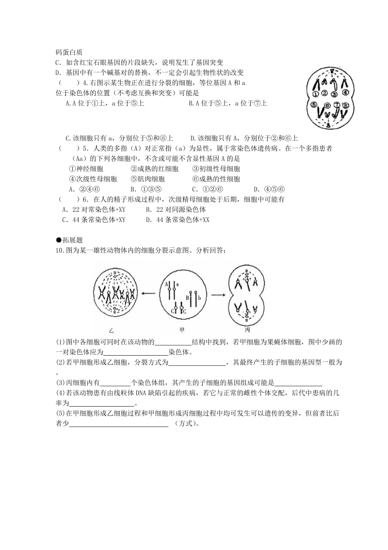 高中生物 第二章 基因和染色体的关系 第2节 基因在染色体上4练习新人教版必修2.doc_第2页